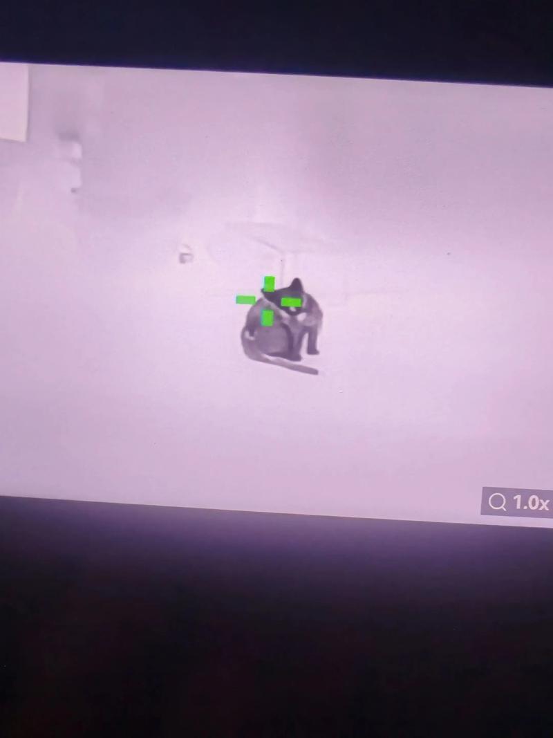 南阳市城区食品价格整体平稳 白萝卜价格上涨